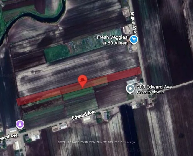 30, Aileen, Rural King, King