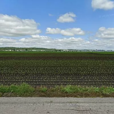 30, Aileen, Rural King, King