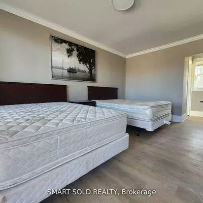 20590, Hwy 11, Rural King, King