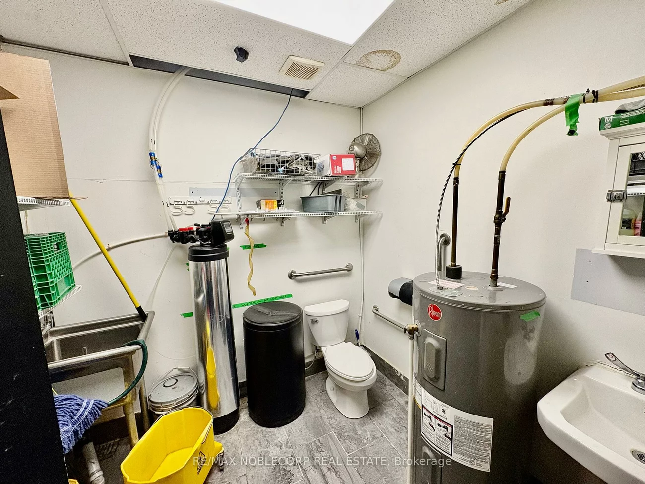 50, Dr Kay, Schomberg, King