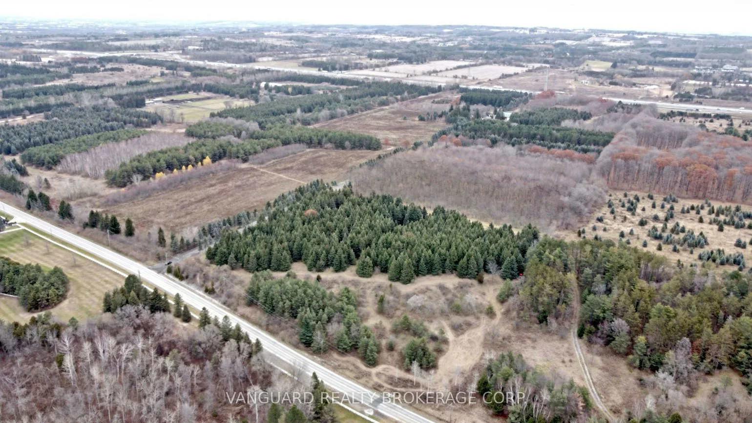 15725, Weston, Rural King, King