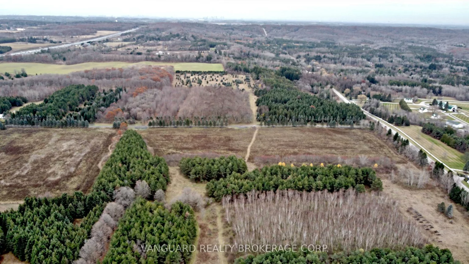 15725, Weston, Rural King, King