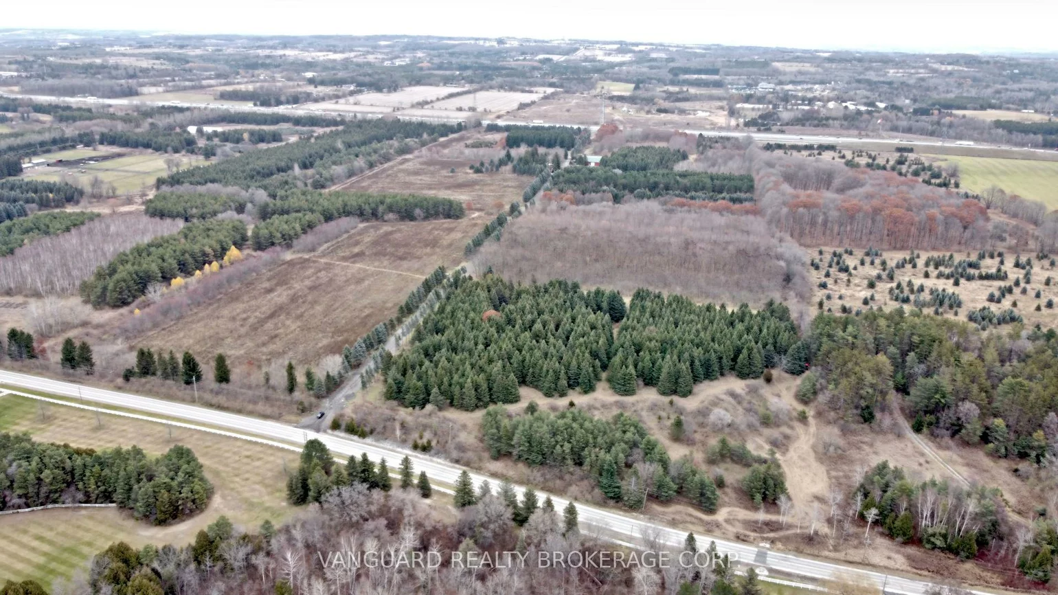 15725, Weston, Rural King, King