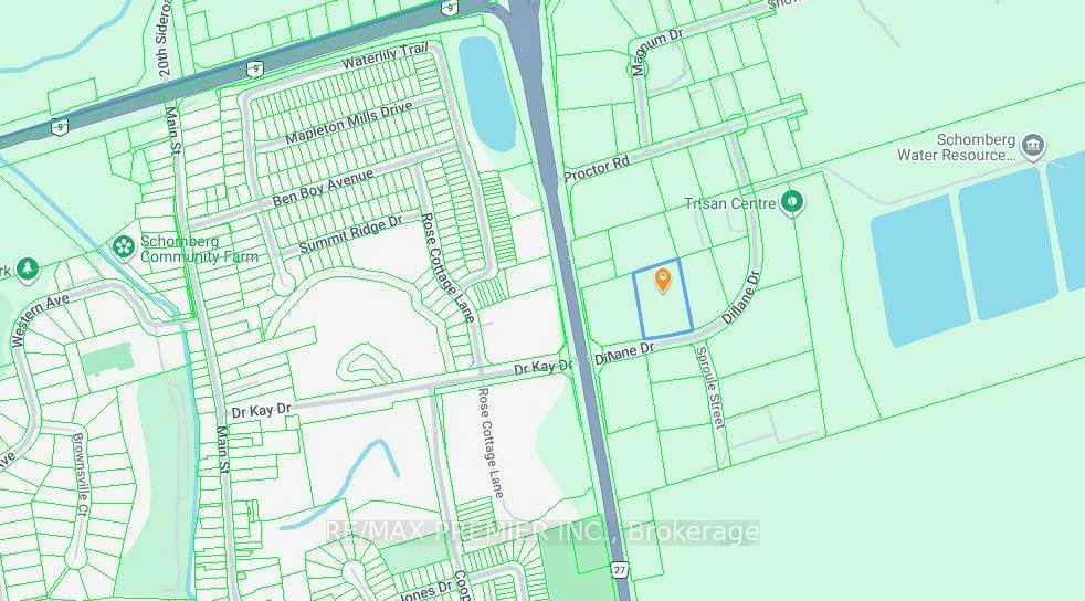 50, Dillane, Schomberg, King