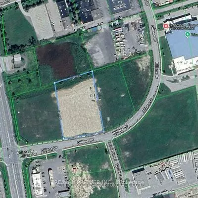 50, Dillane, Schomberg, King