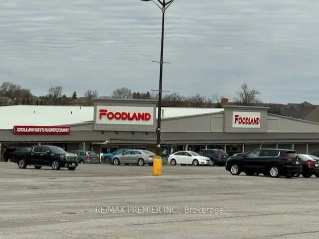 50, Doctor Kay, Schomberg, King