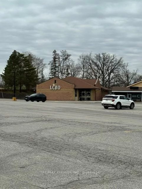 50, Doctor Kay, Schomberg, King