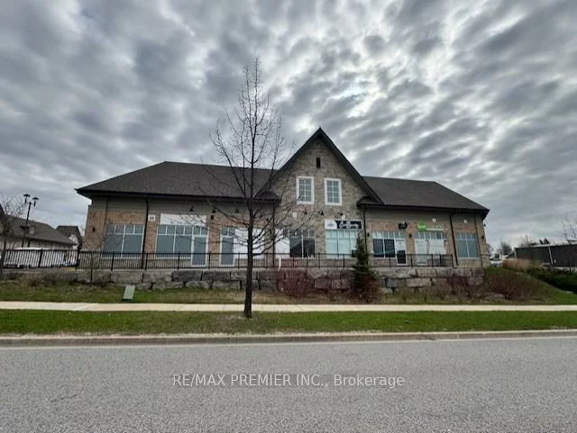 50, Doctor Kay, Schomberg, King