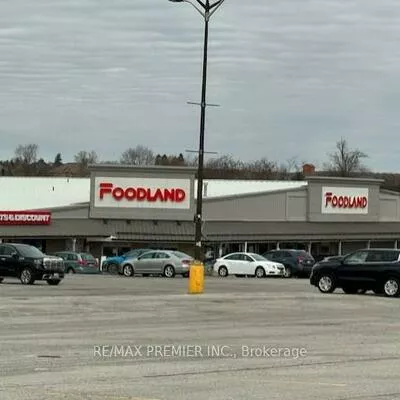 50, Doctor Kay, Schomberg, King