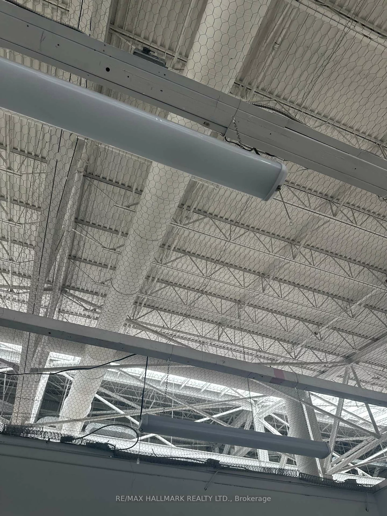 E66 A & B, 4300 Steeles Ave E, Milliken Mills East, Markham