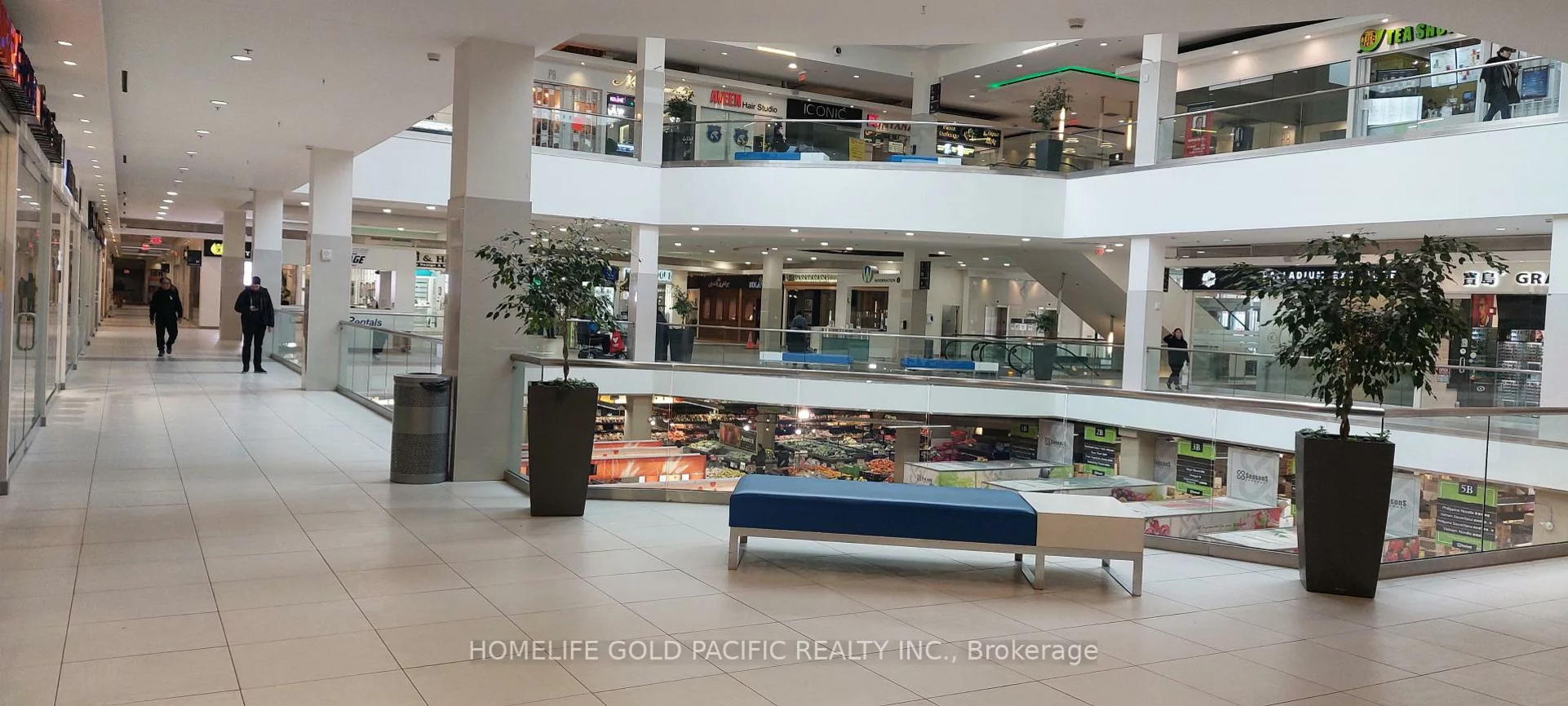 7181, Yonge, Grandview, Markham