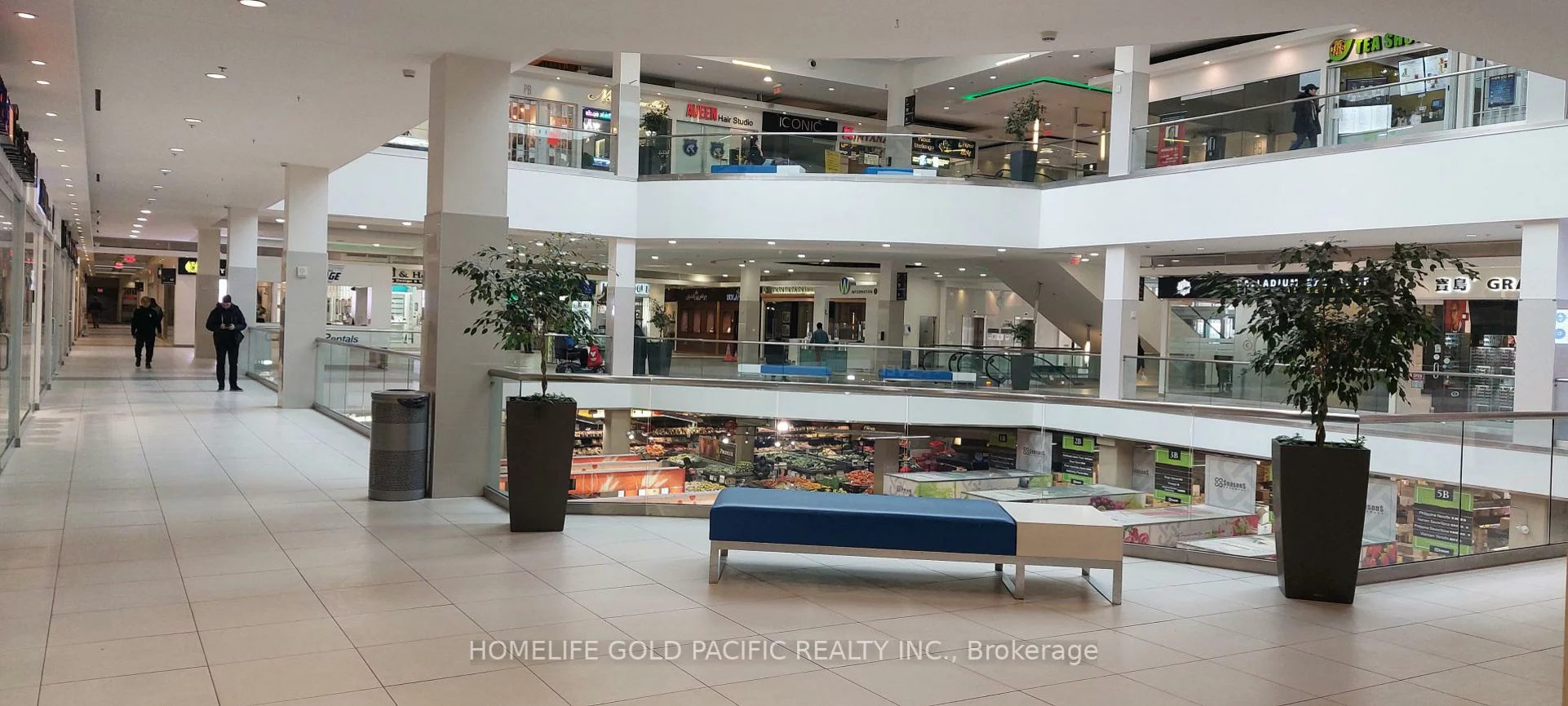 7181, Yonge, Grandview, Markham