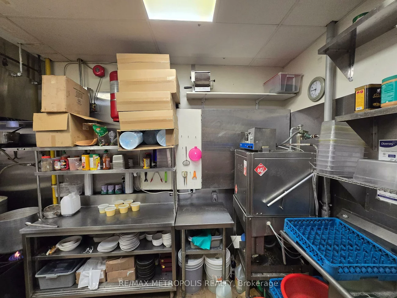 87, Green, Aileen-Willowbrook, Markham