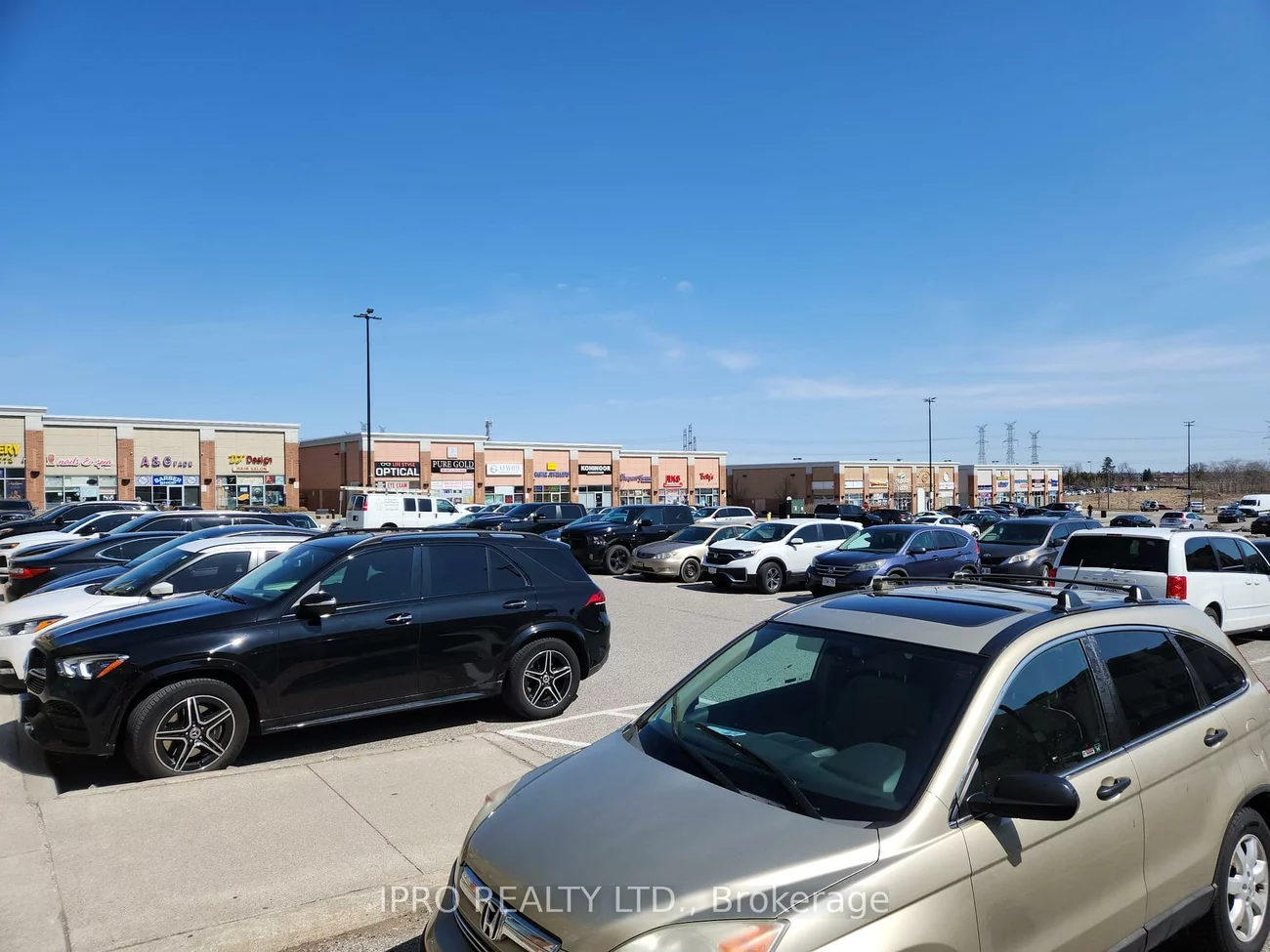 20, New Delhi, Cedarwood, Markham