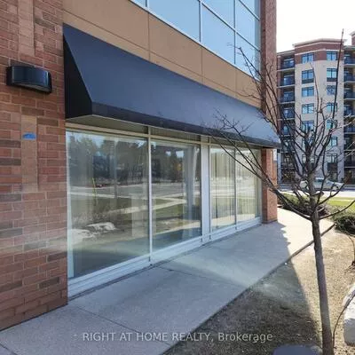 20, New Delhi, Cedarwood, Markham