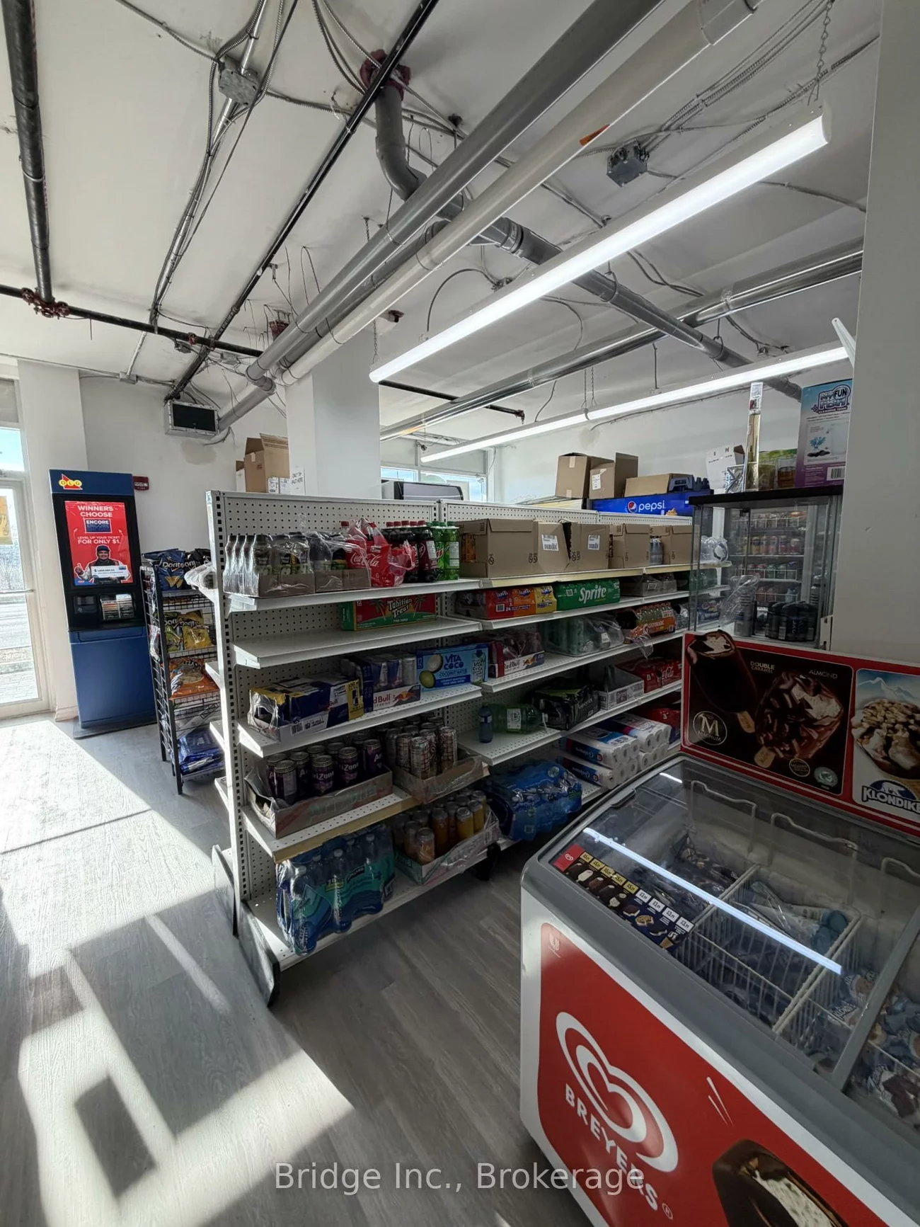 3378, Bur Oak, Cornell, Markham