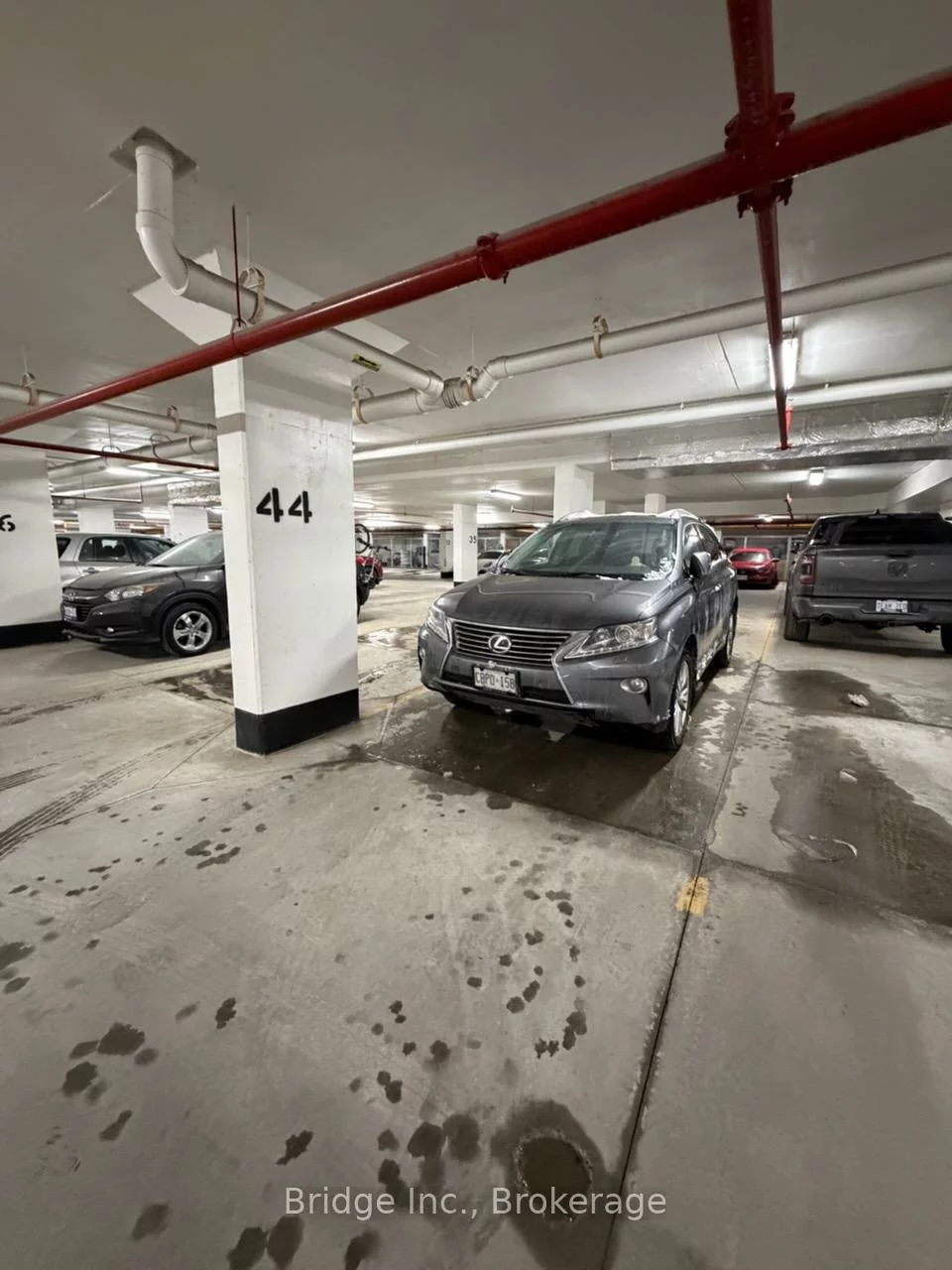 3378, Bur Oak, Cornell, Markham