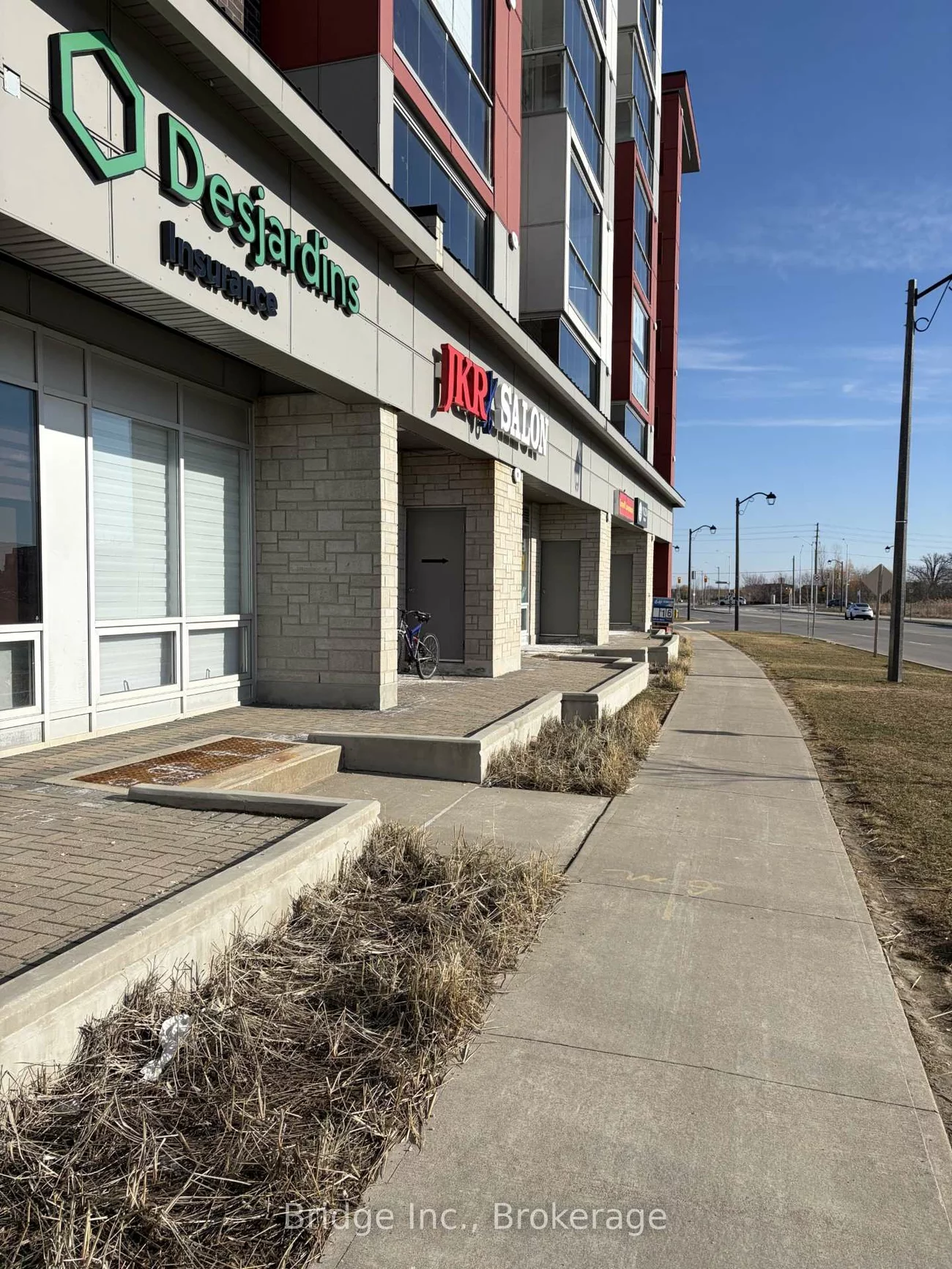 3378, Bur Oak, Cornell, Markham