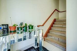 40, New Delhi, Cedarwood, Markham