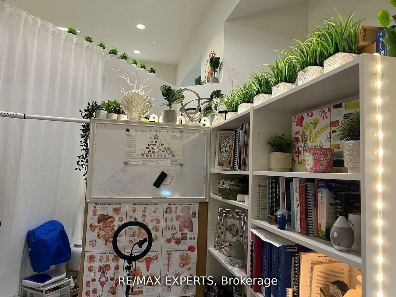 7163, Yonge, Thornhill, Markham