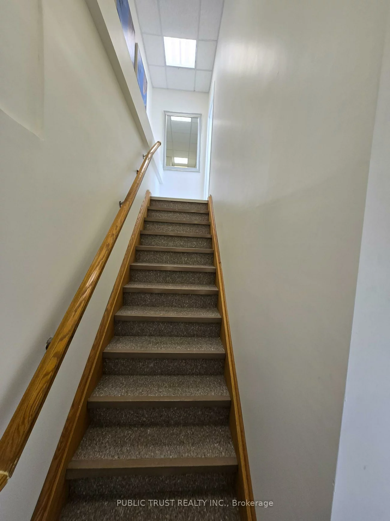 40, New Delhi, Cedarwood, Markham