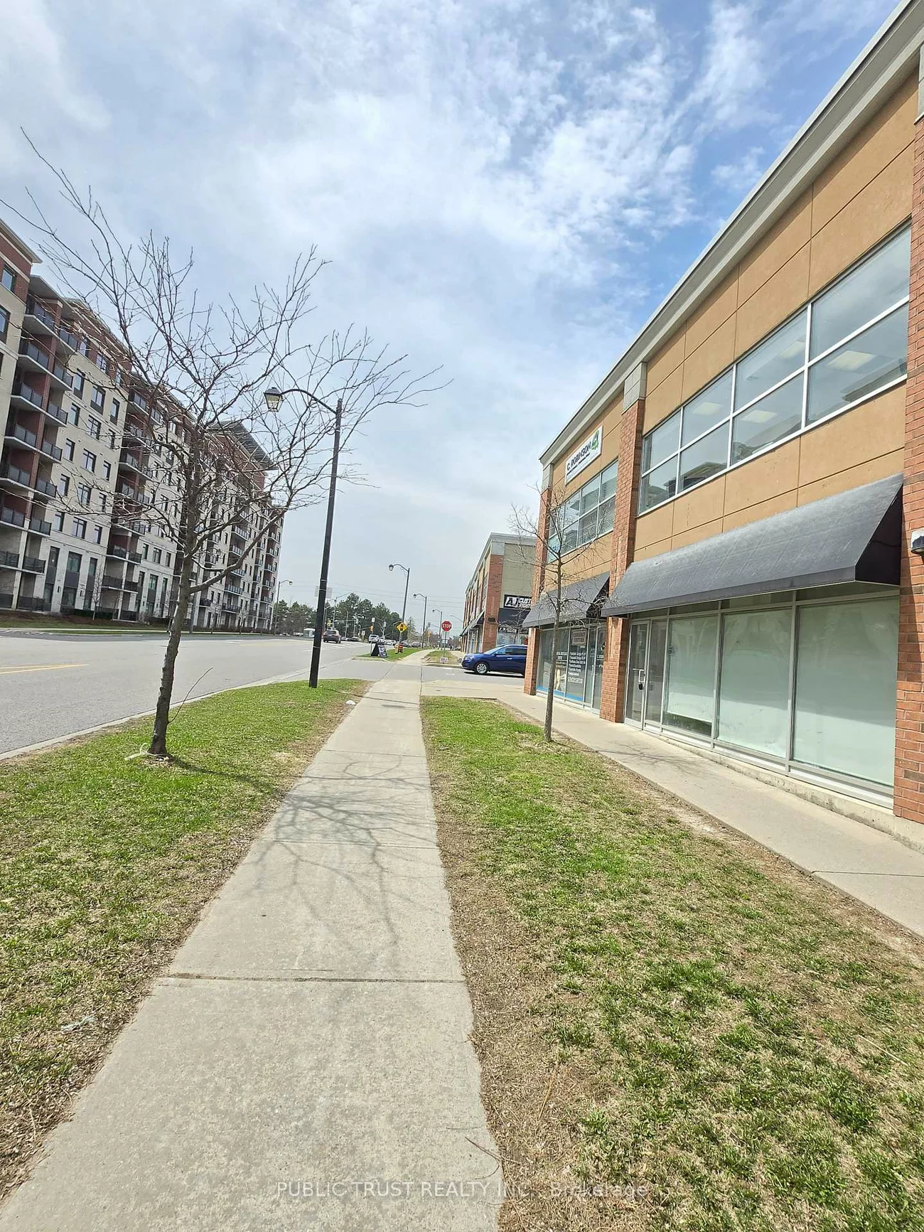 40, New Delhi, Cedarwood, Markham