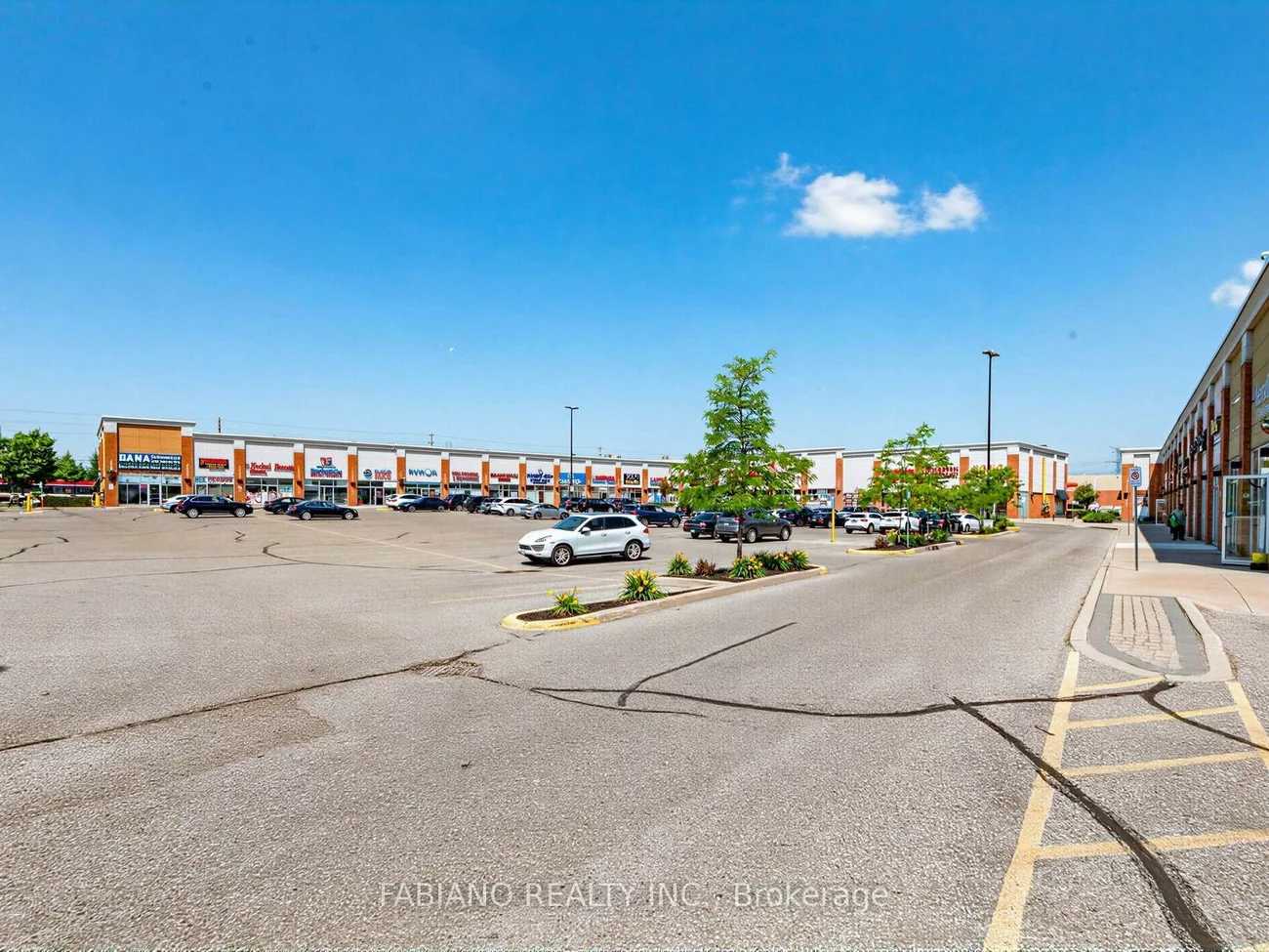 150, New Delhi, Cedarwood, Markham