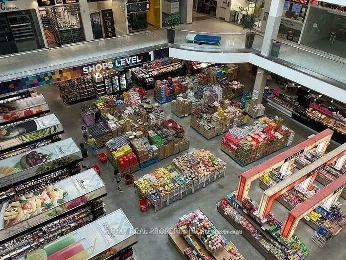 7181, Yonge, Grandview, Markham