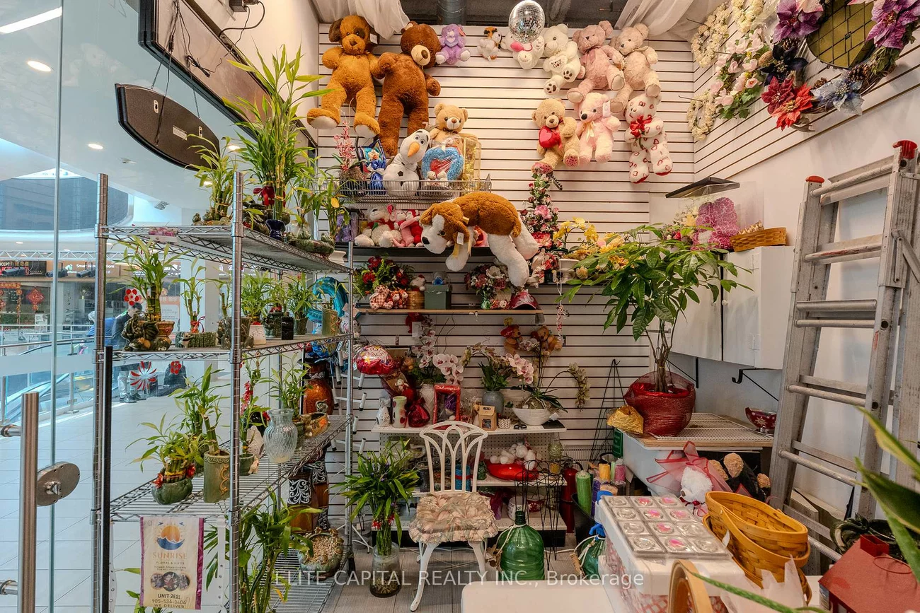 9390, Woodbine, Cachet, Markham