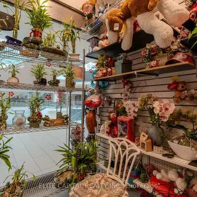 9390, Woodbine, Cachet, Markham
