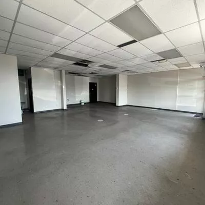 7111, Fir Tree, Northeast, Mississauga