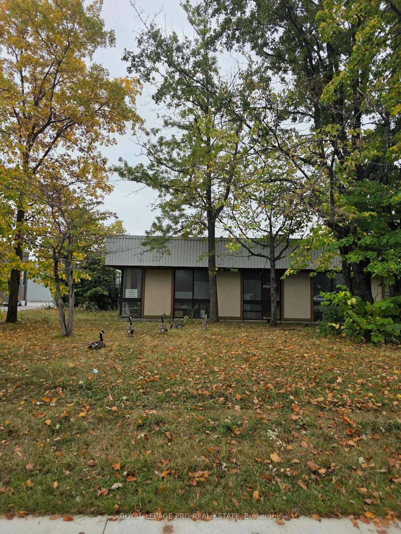 7650, Bath, Northeast, Mississauga