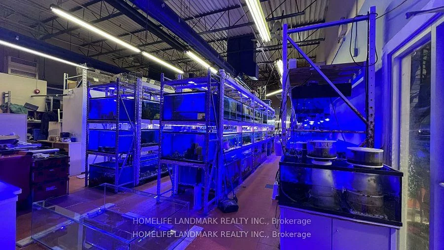 888, Dundas, Dixie, Mississauga