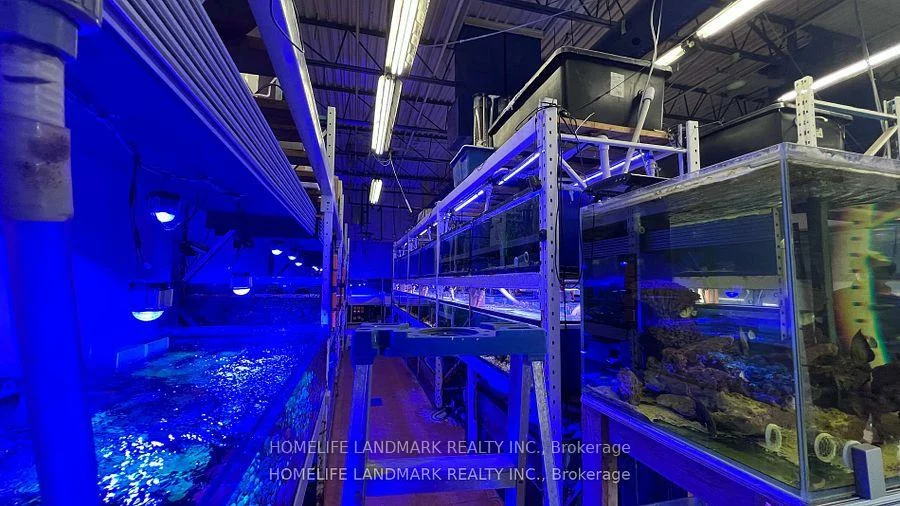 888, Dundas, Dixie, Mississauga