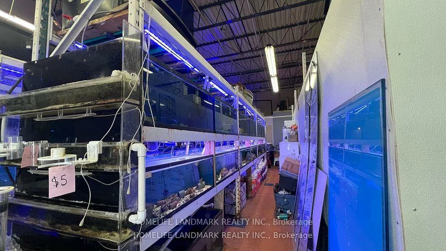 888, Dundas, Dixie, Mississauga