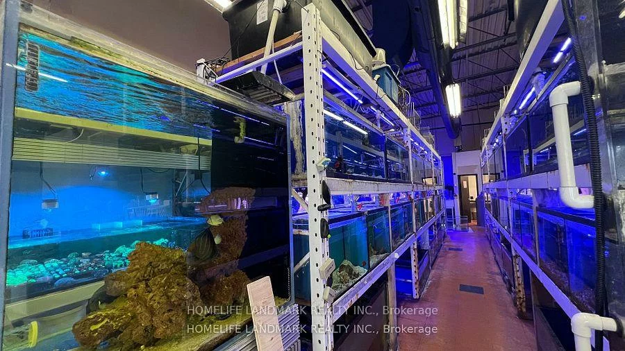 888, Dundas, Dixie, Mississauga