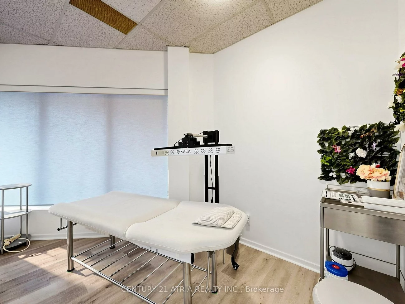 1100, Dundas, Erindale, Mississauga