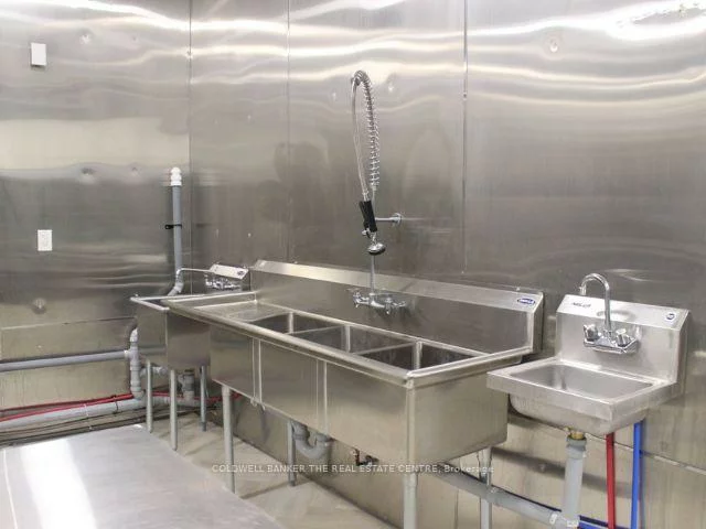 431, Davis, Bristol-London, Newmarket