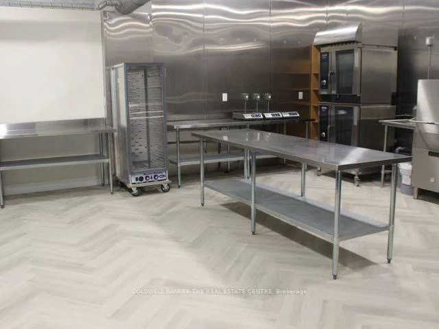 431, Davis, Bristol-London, Newmarket