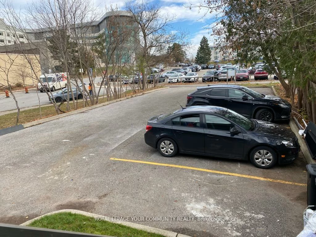 53, Prospect, Gorham-College Manor, Newmarket