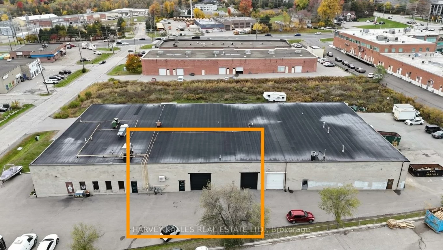 589, Steven, Stonehaven-Wyndham, Newmarket