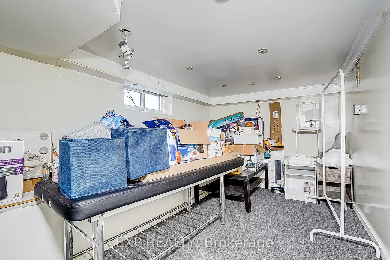 12, Vincent, Bristol-London, Newmarket