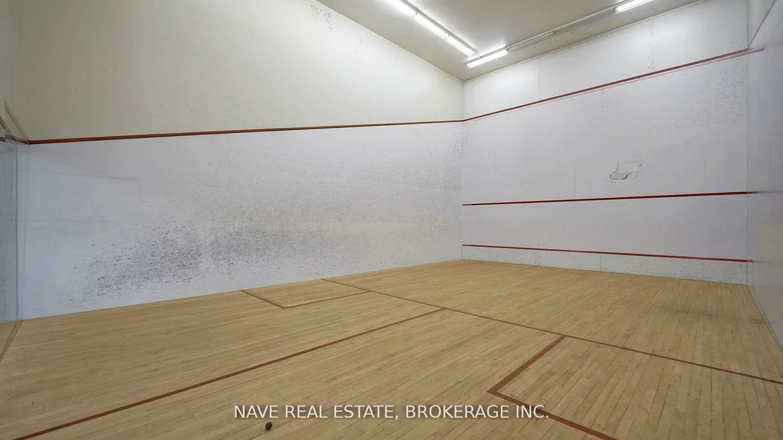 77-83, Davis, Bristol-London, Newmarket