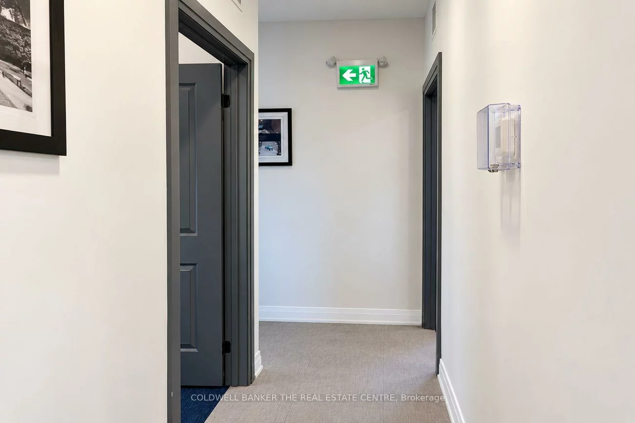 431, Davis, Bristol-London, Newmarket