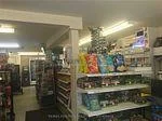 695, Srigley, Gorham-College Manor, Newmarket