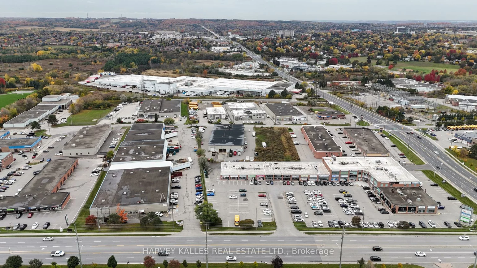 589, Steven, Stonehaven-Wyndham, Newmarket