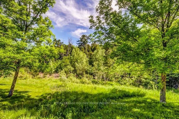 415, Pickering, Gorham-College Manor, Newmarket