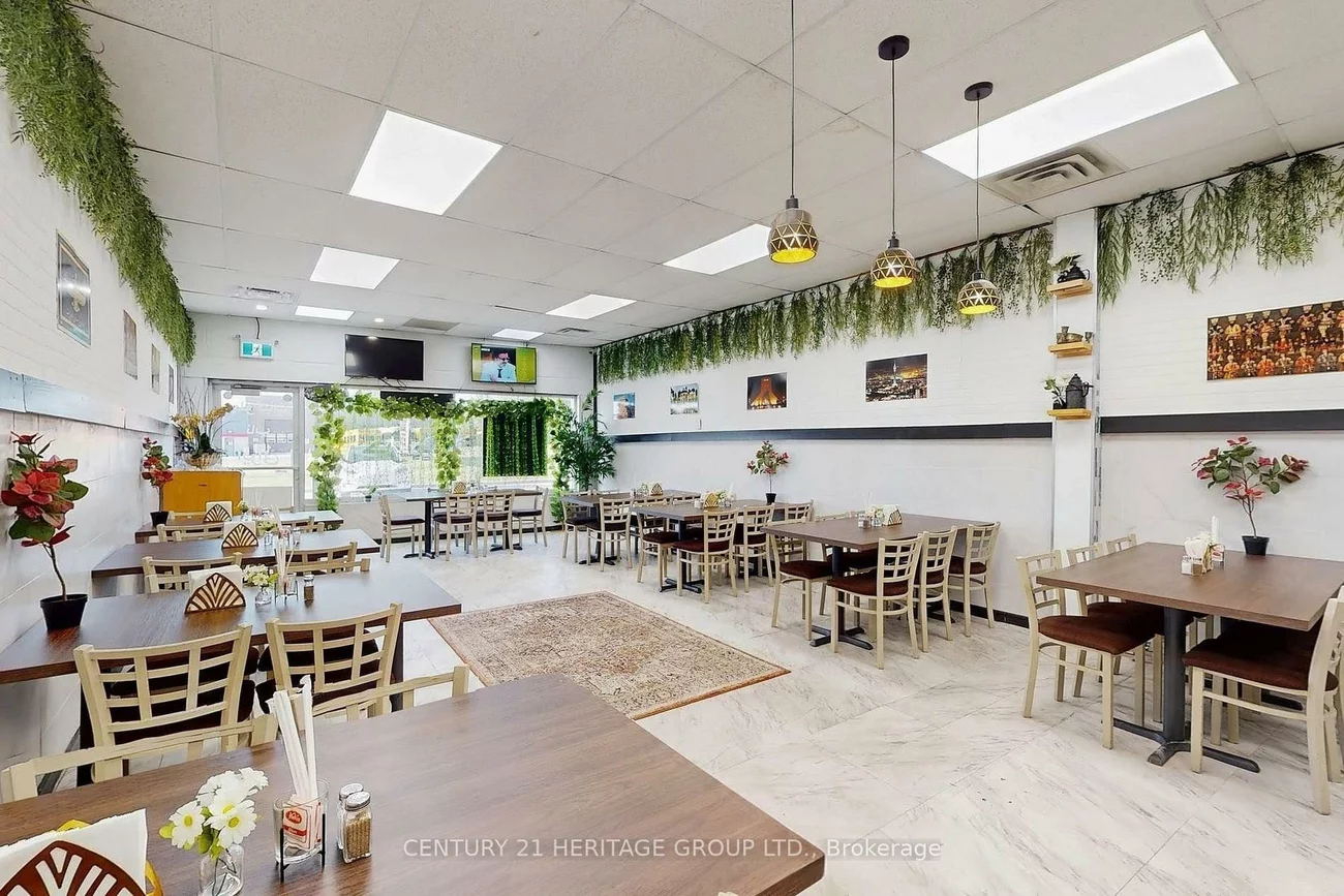 559, STEVEN, Stonehaven-Wyndham, Newmarket