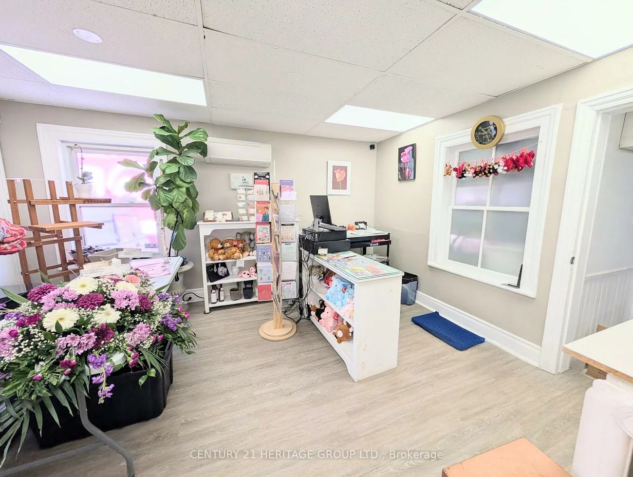 15, Main, Central Newmarket, Newmarket