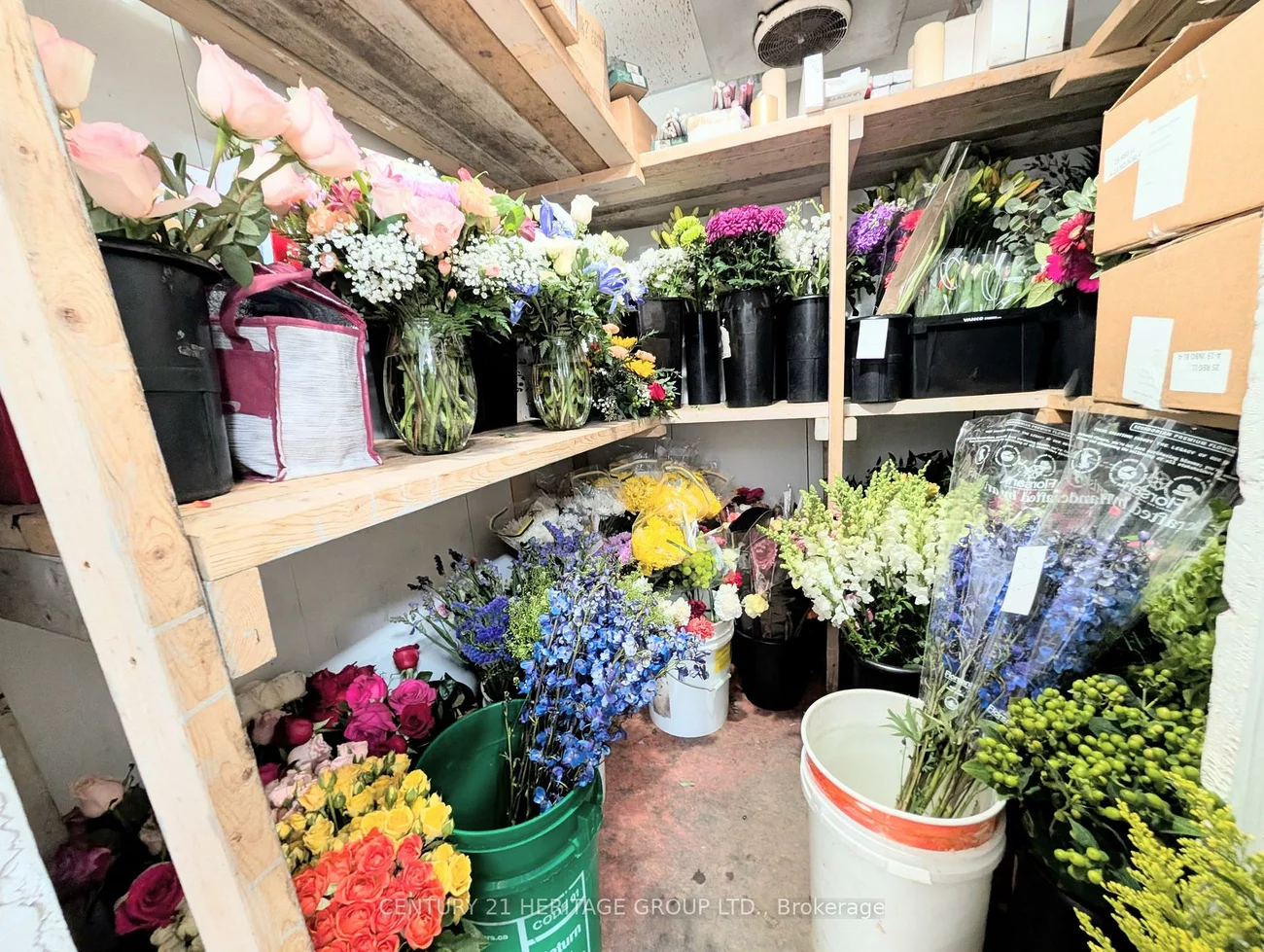 15, Main, Central Newmarket, Newmarket